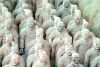 The Chinese Warriors, Xian, China